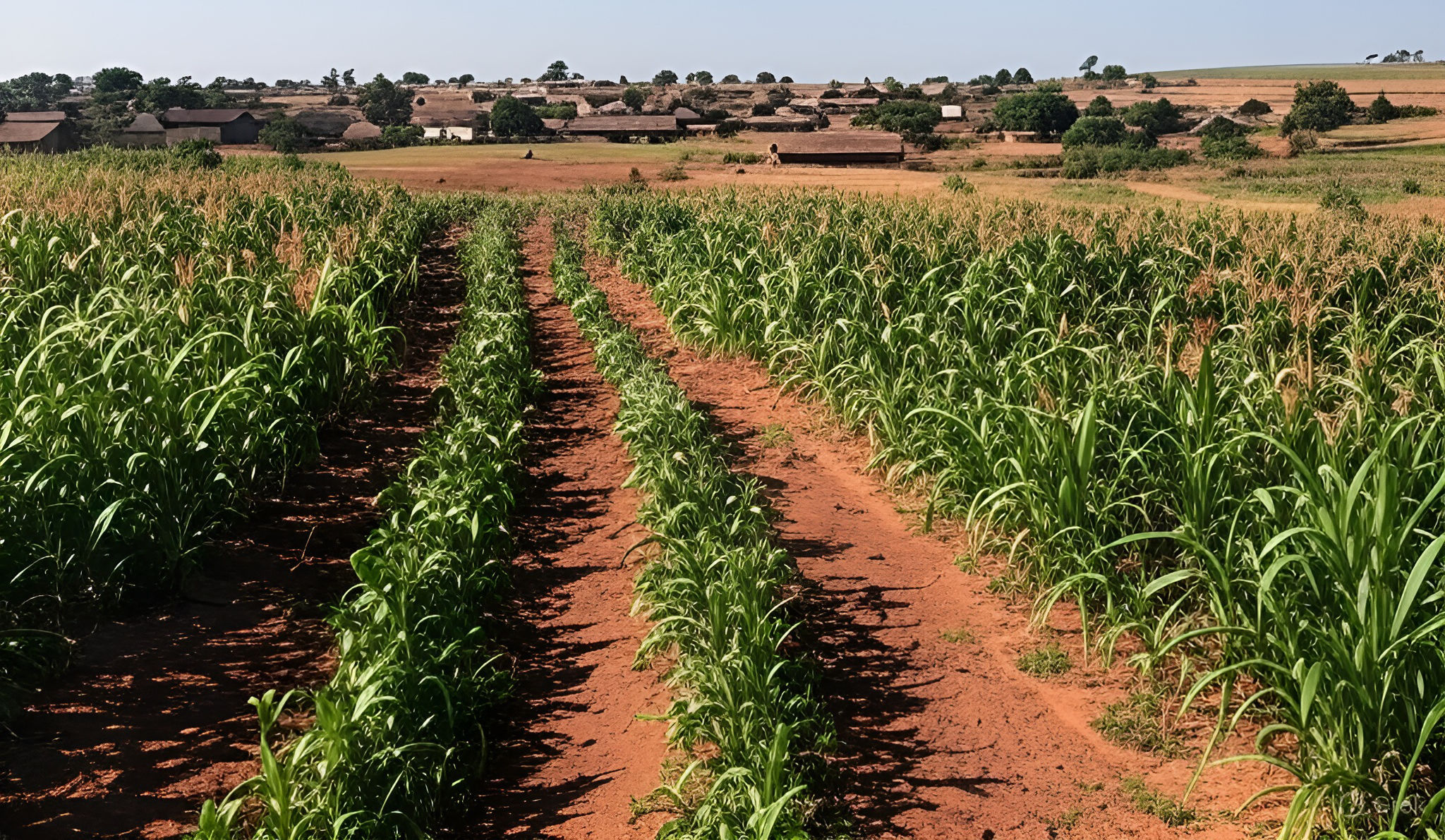 Village africain